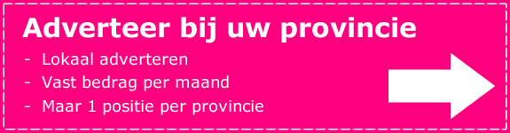 provincie-knop.fw
